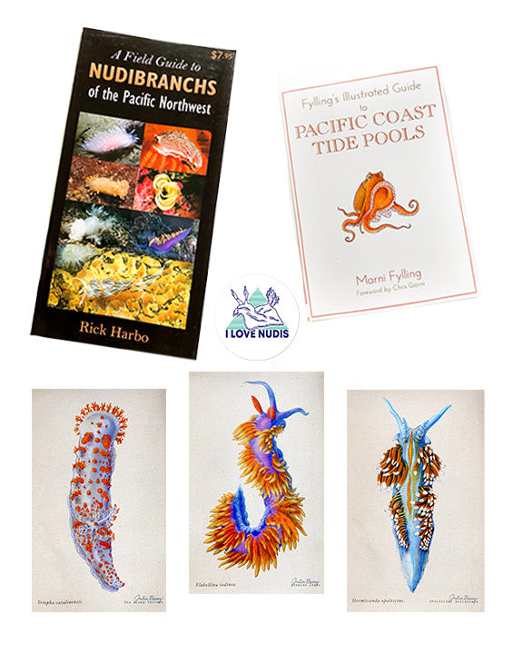 PacificNWBundle_2048x.jpg?v=