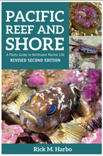 画像をギャラリービューアに読み込む, Pacific Reef and Shore Photo Guide to Northwest Marine Life Cover
