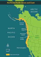 画像をギャラリービューアに読み込む, Pacific Reef and Shore Photo Guide to Northwest Marine Life Inside
