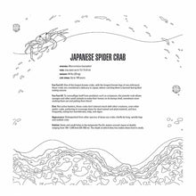 Load image into Gallery viewer, Sea Creatures: A Smithsonian Institute Coloring Book Giant Japanese Spider Crab Details Page

