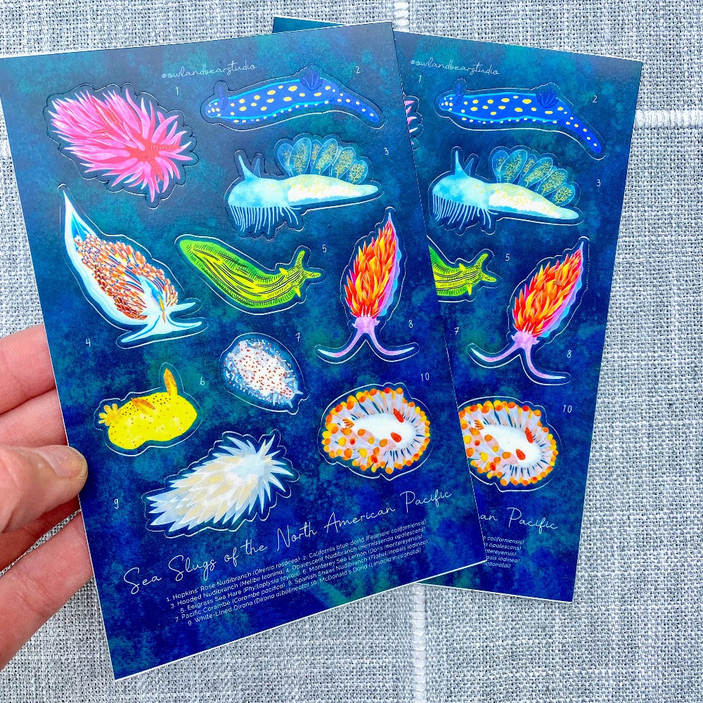 Sea Slugs of the North America Pacific Sticker Sheets