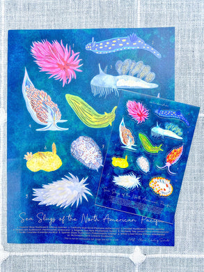 Sea Slugs of North America Pacific Poster and Stickers