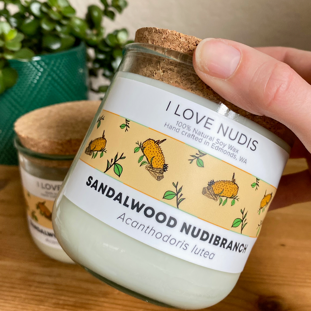 Sandalwood Nudibranch Candle in Recycled Glass