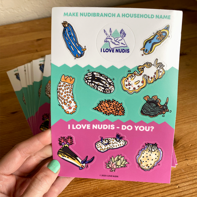 I LOVE NUDIS™ Colorful Vinyl Sticker Sheet with 11 adorable Nudibranchs and Sea Slugs