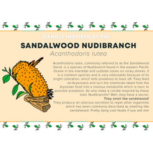 画像をギャラリービューアに読み込む, Sandalwood Nudibranch Candle in Recycled Glass
