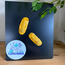 Load image into Gallery viewer, Sea Lemon Nudibranch Magnet
