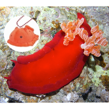 Load image into Gallery viewer, Small Nudibranch Plushie Keychains
