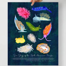 画像をギャラリービューアに読み込む, Sea Slugs of the North American Pacific Recycled Art Print
