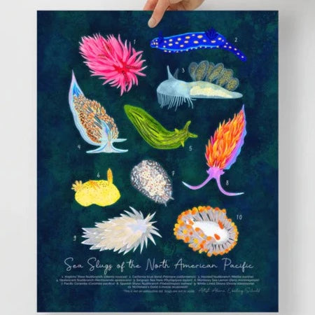 Sea Slugs of the North American Pacific Recycled Art Print